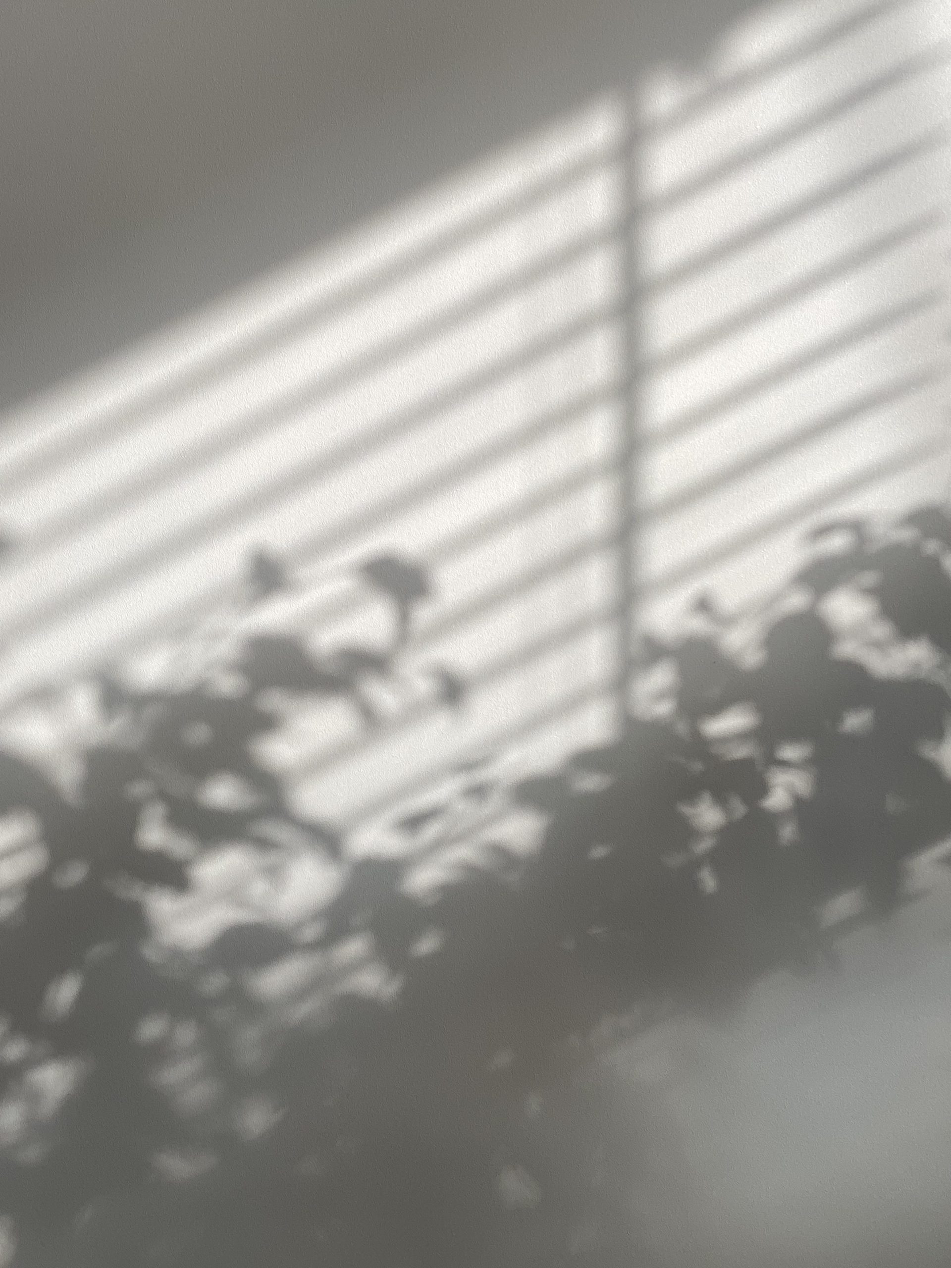 shadows of horizontal lines and foliage